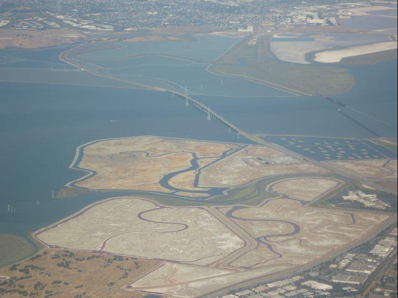 P1000825 Dumbarton Bridge